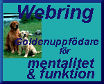 webring